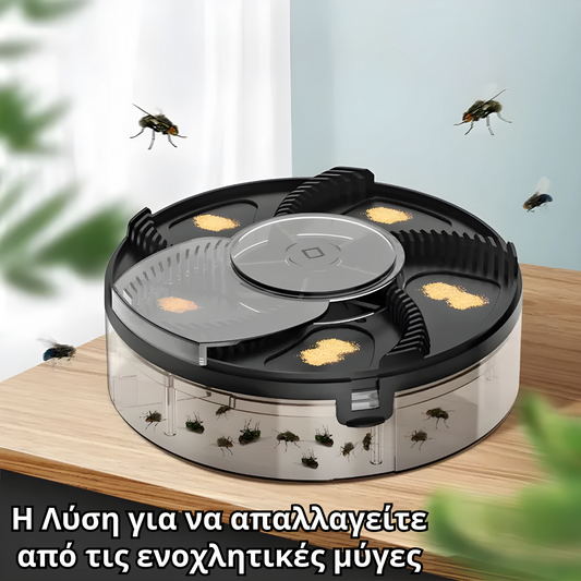 Fly Trap