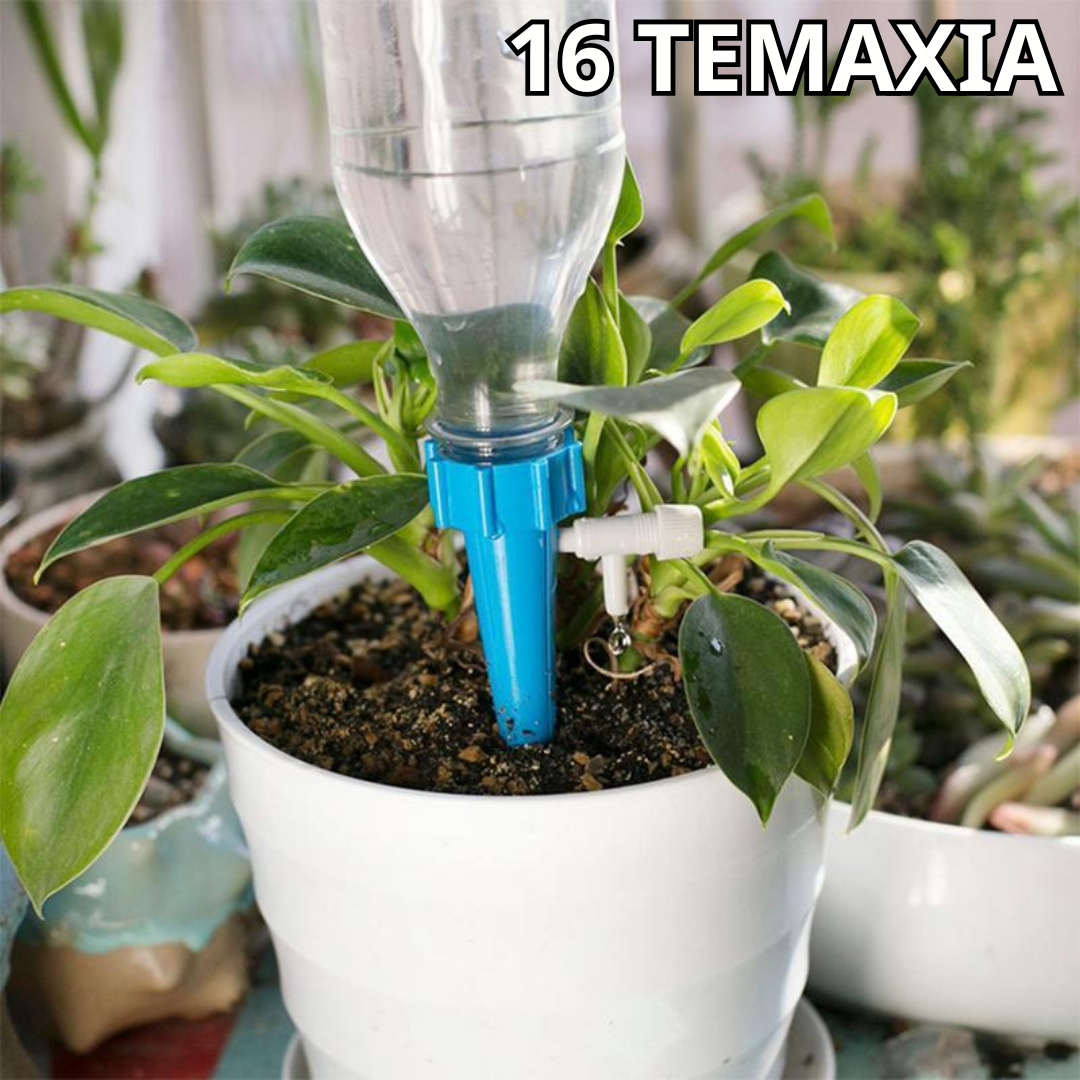 Plant Watering